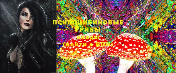 spice Горняк