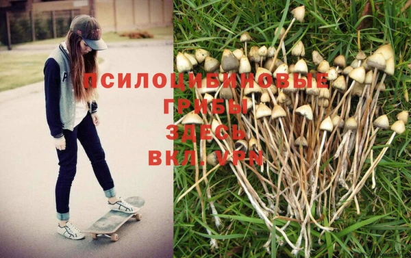 скорость Горно-Алтайск