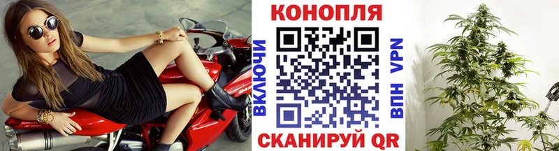 Шишки марихуана план Павлово